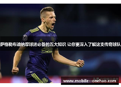 萨格勒布迪纳摩球迷必备的五大知识 让你更深入了解这支传奇球队