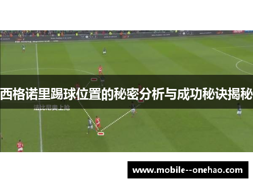 西格诺里踢球位置的秘密分析与成功秘诀揭秘