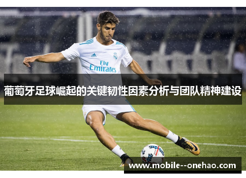 葡萄牙足球崛起的关键韧性因素分析与团队精神建设
