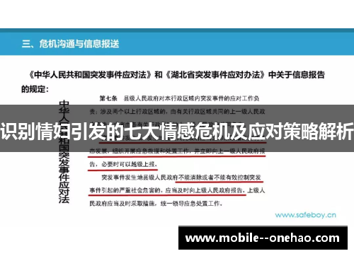 识别情妇引发的七大情感危机及应对策略解析