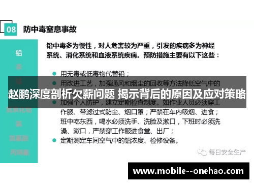 赵鹏深度剖析欠薪问题 揭示背后的原因及应对策略