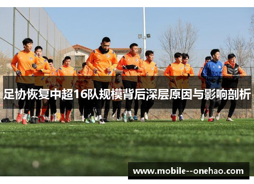 足协恢复中超16队规模背后深层原因与影响剖析 足协恢复中超16队规模背后深层原因与影响剖析