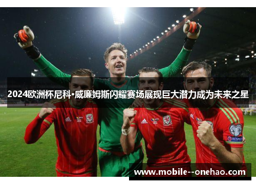 2024欧洲杯尼科·威廉姆斯闪耀赛场展现巨大潜力成为未来之星