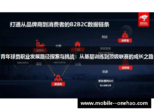 青年球员职业发展路径探索与挑战：从基层训练到顶级联赛的成长之路