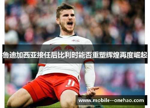 鲁迪加西亚接任后比利时能否重塑辉煌再度崛起 鲁迪加西亚接任后比利时能否重塑辉煌再度崛起