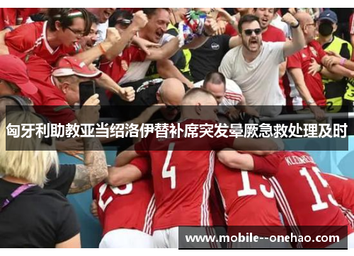 匈牙利助教亚当绍洛伊替补席突发晕厥急救处理及时